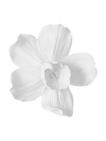 Jotex Wandobjekt Orchid, Verschiedene Größen 3 Jotex Wandobjekt Orchid, Verschiedene Größen